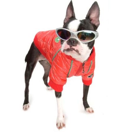 Puppy Angel - PA F1 Jacket - Röd - Small - Varma hundjackor & täcken från Doggie.se