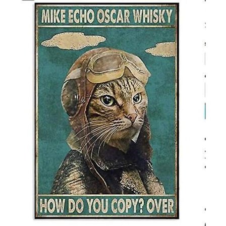 Nostalgia Metal Skilt Op Carl Og Ellie Dig Og Mig Vi Har Det Her Tin Skilte Nytår Påske Vægdækning Bar Pub Familie Cafe Skilte Mænd Hule Bedste Gaver