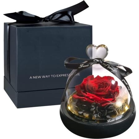 CDQ Bevart for alltid til stede for Valentinsdag jul, med LED-lys-WELLNGS