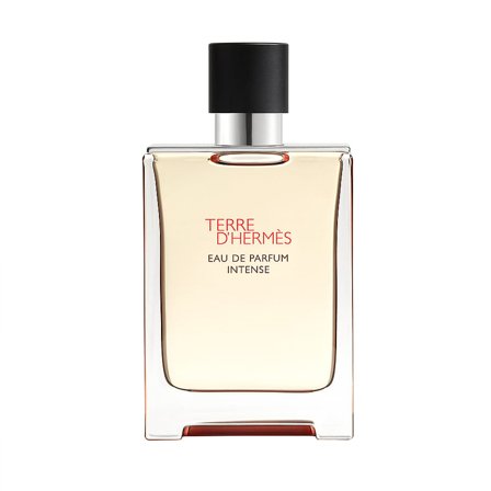 HERMÈS Terre D'Hermès Eau De Parfum Intense 100 ml, Mænd, Herredufte, Terre D'hermès