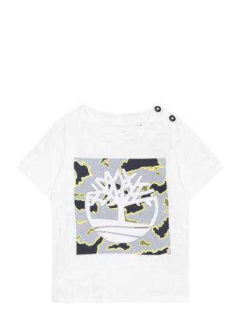 Short Sleeves Tee-Shirt White Timberland