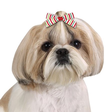 Aria - Yuletide Hårband- Julkläder till hund