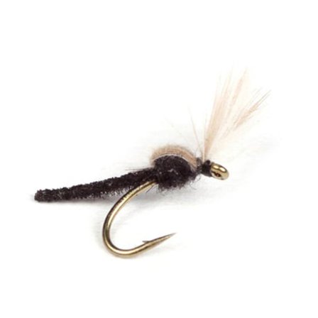 Guideline CDC Palomino Midge - #18