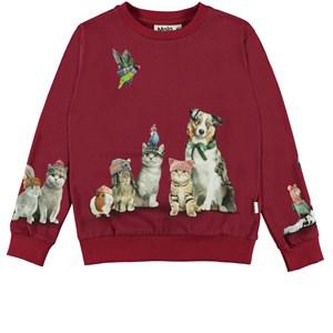 Molo Family Photo Regine GOTS T-Shirt 128 cm - Tops - 128 cm - Red