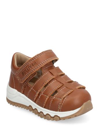 Gyllebo Borga Brown Gulliver