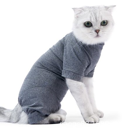 Kattedrakt for restitusjon etter operasjon, elastisk og lett restitusjonsdrakt for sår på magen og sterilisering, elastisk design med fire ben for 