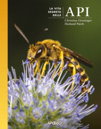 La vita segreta delle api Christina Grozinger
