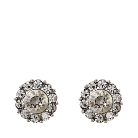 Lily and Rose Miss Sofia Earrings - Crystal Smycken & klockor Dam Transparant ONESIZE