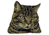 Europé - klistremerker