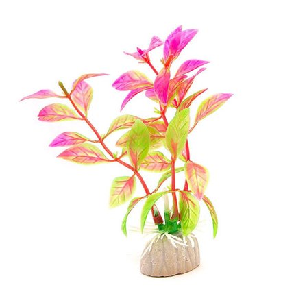 Akvarieväxt / inredning akvarium Konstgjord - Bladväxt Rosa/Grön