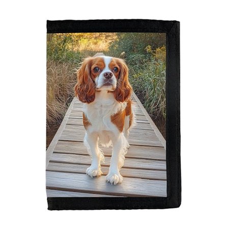 Hund Cavalier King Charles Spaniel Plånbok