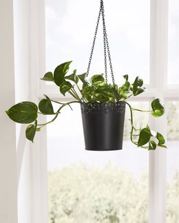 Ampel af metal Hængende Sort