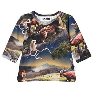 Molo Future Animals Ewald T-Shirt 56 cm (1-2 Months) - Tops - 56 cm (1-2 Months) - Grey - Junge