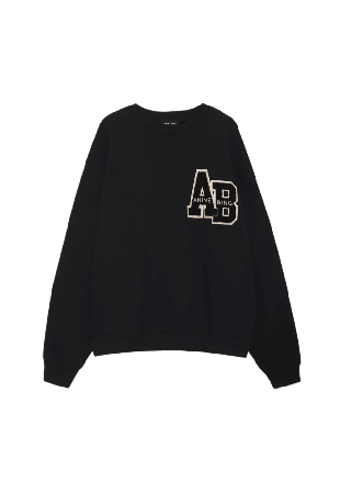 Anine Bing Miles Sweatshirt Tröjor Dam Svart M