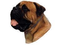 Bullmastiff - klistremerker
