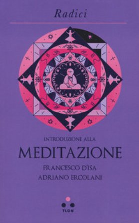 Introduzione alla meditazione Francesco D'Isa