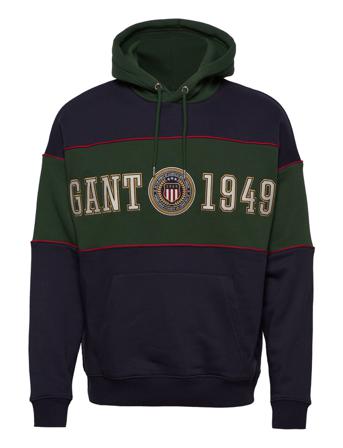 D1. Crest Shield Block Hoodie Hoodie Multi/mönstrad GANT