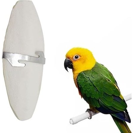 Sepiaskal legetøj, blæksprutteben, blæksprutteben