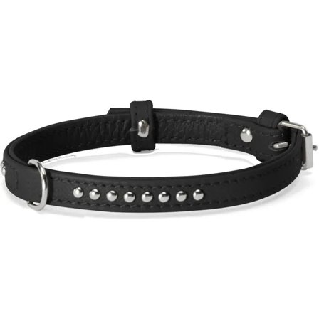 Camon Collare Con Borchiette Per Cani Colore Nero 35x650mm