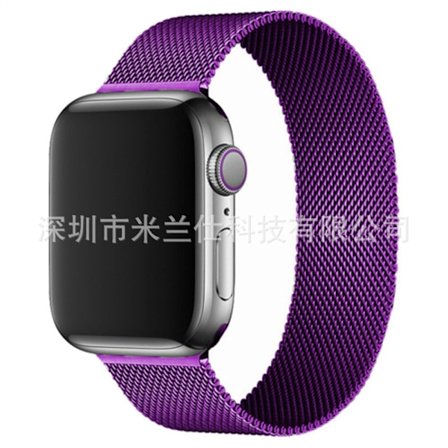 Klockarmband för Apple Watch iWatch 38/40/41/42mm-S10 18 lila