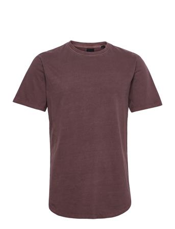 Onsron Life Longy Ss Tee Bf T-shirts Short-sleeved Liila ONLY & SONS