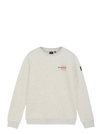 Indian Blue Jeans | Loose Fit Sweat Melange | 110