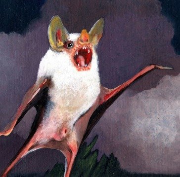 Vida eterna NINOS DU BRASIL