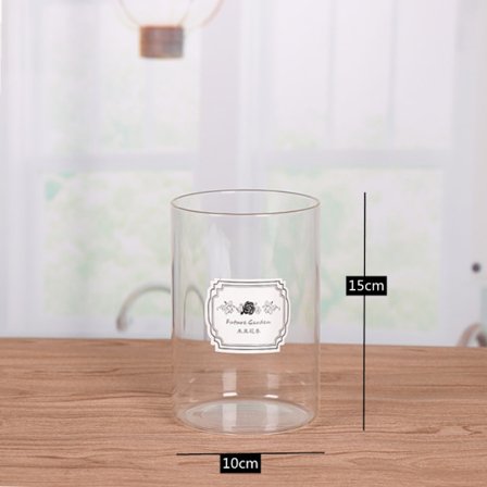 Sylindervaser Glassvase 10*15CM 10*15CM