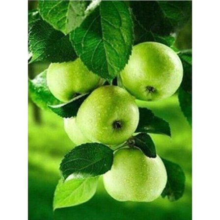 IC 30 x 40 cm, oranssi Timanttimaalaus Diamantbroderimålning Canvas 5d maalaus Lapset Aikuinen Strass Lot Puzzle Piirustus Seinäkoriste Makuuhuone