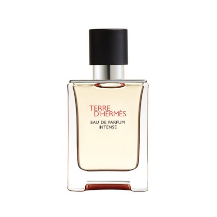 HERMÈS Terre D'Hermès Eau De Parfum Intense 50 ml, Mænd, Herredufte, Terre D'hermès