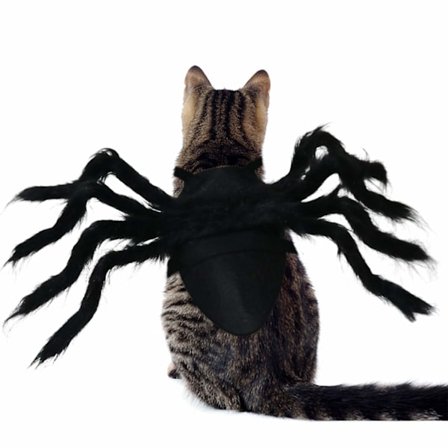 S Pet Spider Costume - Halloween Spider Costume för katter och små till medelstora hundar Halloween Party Dress Up Holiday Decoration Cosplay Pet 