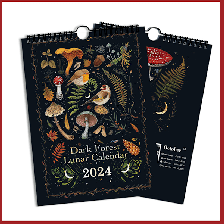 Seinäkellari 2024, Tumma Metsä Kuukalenteri 2024 2025 12 Kuukaudella, Värikäs Toimiston Kuunvaihekalenteri 2024, Musta