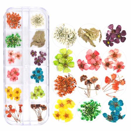 Galaxy 1 eske med neglkunst-klistremerker Tørkede blomster dekorasjonssett for negler tørkede blomster 3D ekte tørkede blomster(stil 2) farge 2