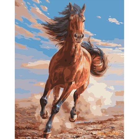 5D Diamantmaleri Kit 30x40cm DIY Farverig Hest Diamantkunst