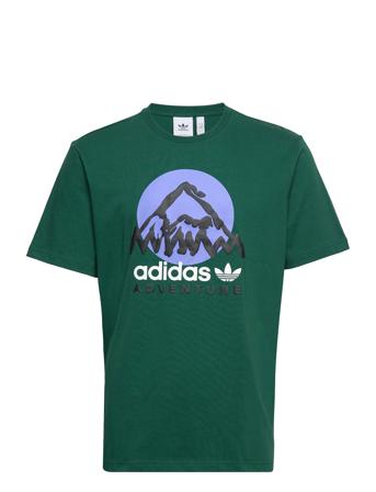 Adv Mtn F Tee T-shirts Short-sleeved Vihreä Adidas Originals
