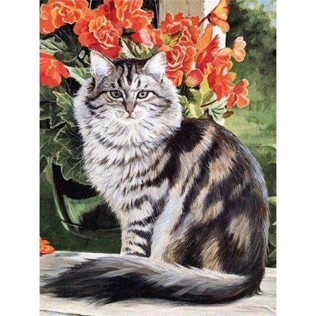 30x40cm, kat 5d diamantmalet rhinestones broderi lærred