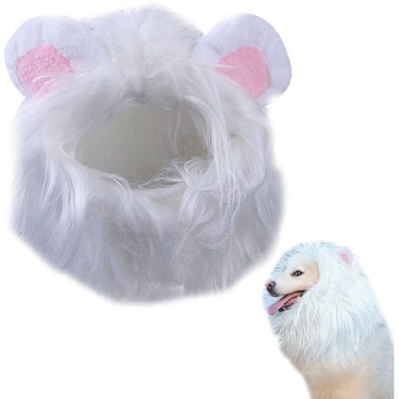 Paryk hat til kæledyr, pandebånd til hund og kat, tøj til hund og kat, hvid løve pandebånd(S)