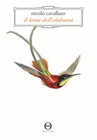 Il lama dell'Alabama Nicolò Cavallaro