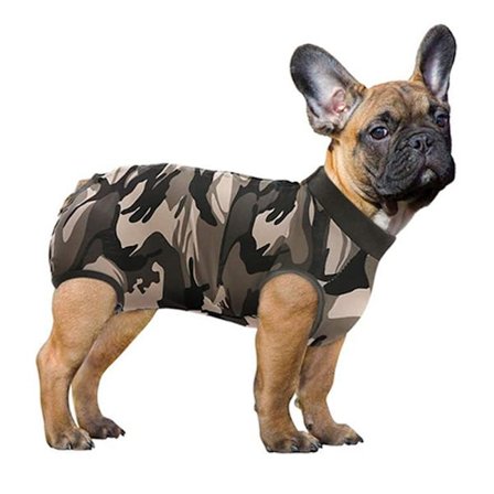 Hundegendannelsesdragt Kattedragter til Abdominal Sår Gendannelses T-shirt til Han Hun Kæledyr Kirurgisk Snug Dragt Efter Operation Anti-Slik Hund 