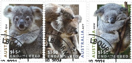 Australien - Koala beskyttelse - Stemplet sæt 3v