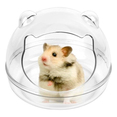 1 hamster sandbadbeholder