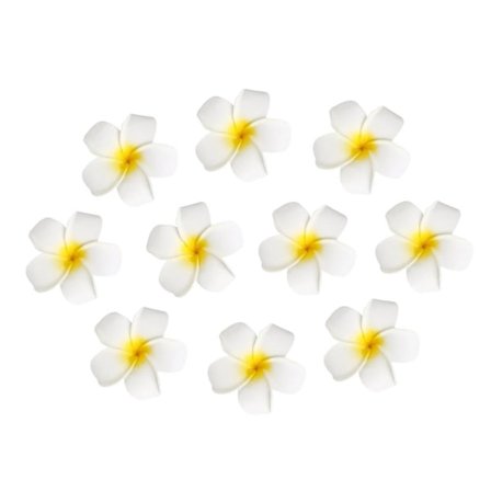 10 stk. 6 cm Hawaii Blomst Hårklemme Hårnål Simulation Æg Blomst Hovedbeklædning til Strand Luau Fest (Hvid med Gul)