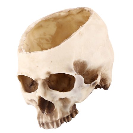 Kruka i harts med dödskalledesign och blomhuvud [JSR]