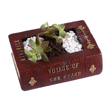 Kirjan muotoinen hartsi kukka mehikasvit ruukku bonsai istutuslaatikko koti puutarha piha luova (L)