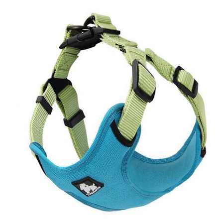 Husdjurssele med reflexremsa, bekväm känsla, korrosionsbeständig katt- och hundsele för trädgård uteplats, blå M(615KG)