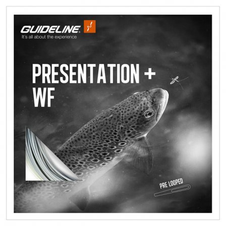 Guideline Presentation+ WF #6
