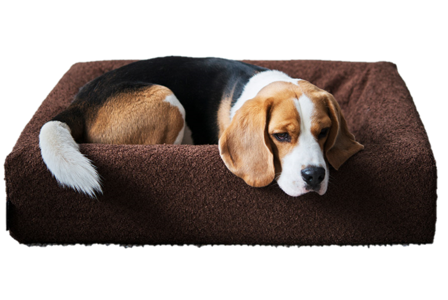 BiaBed - Cover Premium Bouclé No 7, 100x120x15cm, Brun - Hund - Hundesenger & puter - Hundemadrasser & hundesenger - ZOO.no