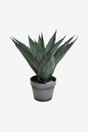 Nordic Furniture Group - Aloe Vera plante H 45 cm - Grøn - Kunstige blomster & planter - Fra Homeroom