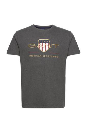 D2. Archive Shield Ss T-Shirt T-shirts Short-sleeved Grå GANT