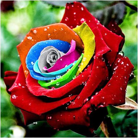 Diamond Painting Rose Flower Diamantkonstsatser För Vuxna 5d